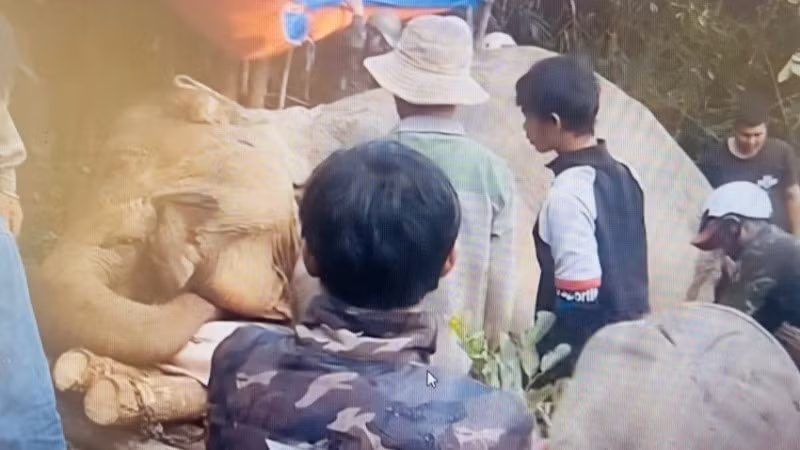 Voi Bắk Khăm được phát hiện bị chết trong rừng.