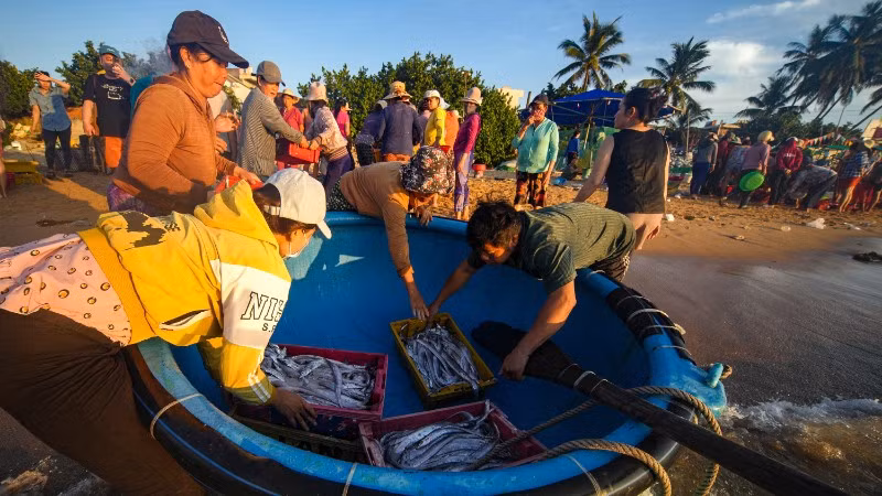 Gần 3 thập kỷ qua, Bivina đã trở thành một phần thân quen trong nhịp sống vùng duyên hải, nơi mỗi giọt mồ hôi đều thấm vị mặn của biển và niềm tự hào lao động.
