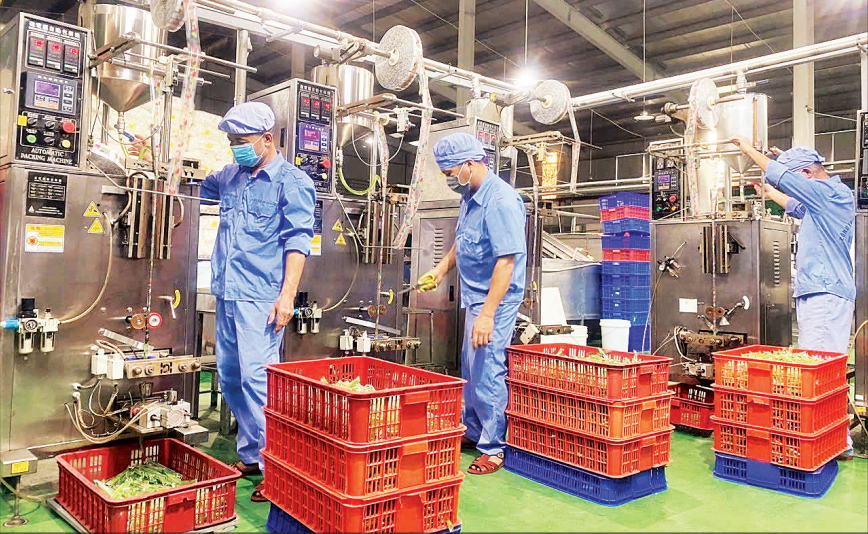 Quang cảnh làm việc tại phân xưởng sản xuất thạch bút chì, Nhà máy Vietfoods, Khu Công nghiệp Hapro (xã Thuận An, Hà Nội). (Ảnh: HT) anh-man-hinh-2025-07-23-luc-43523-sa.png