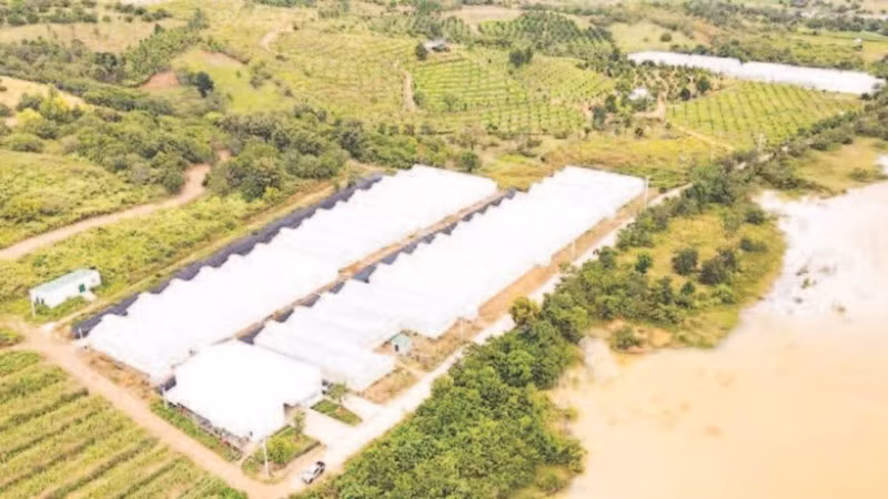 Một góc nông trại Chapor Farm, tại thôn Ma Ty, xã Bác Ái Tây, tỉnh Khánh Hòa.