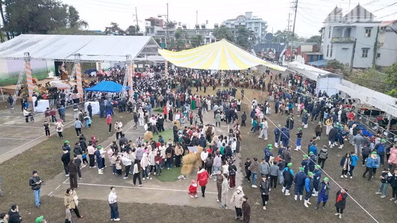 Hội thi "Hoa hậu Bò sữa Mộc Châu năm 2026" thu hút hàng nghìn du khách và người dân tham dự.