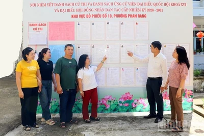 Cử tri khu vực bỏ phiếu số 10 phường Phan Rang (Khánh Hòa) xem niêm yết danh sách cử tri và danh sách ứng cử viên Đại biểu Quốc hội và Đại biểu Hội đồng nhân dân các cấp, nhiệm kỳ 2026-2031. (Ảnh: NGUYỄN TRUNG)