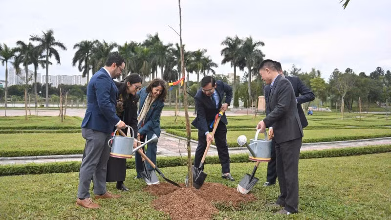 Các đại biểu trồng cây Me tây (Saman) tại Công viên Hòa Bình. (Ảnh: Đại sứ quán Colombia tại Việt Nam)