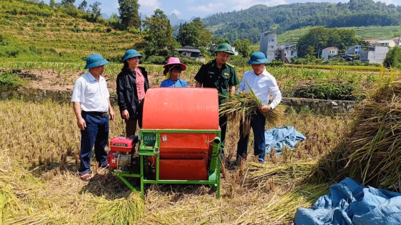 Cán bộ biên phòng tăng cường cùng lãnh đạo xã Bạch Đích, Yên Minh, Hà Giang kiểm tra đánh giá sản lượng năng suất lúa vụ mùa.