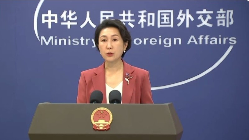 Người phát ngôn Bộ Ngoại giao Trung Quốc Mao Ninh. (Ảnh: CCTV)