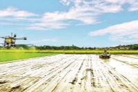 Cơ giới hóa trong trồng lúa chất lượng cao ở Hợp tác xã Tiến Thuận, thành phố Cần Thơ.