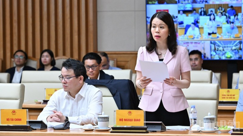 Đại diện lãnh đạo Bộ Ngoại giao phát biểu ý kiến tại hội nghị. (Ảnh: TRẦN HẢI) ndo_br_a6-2105.jpg