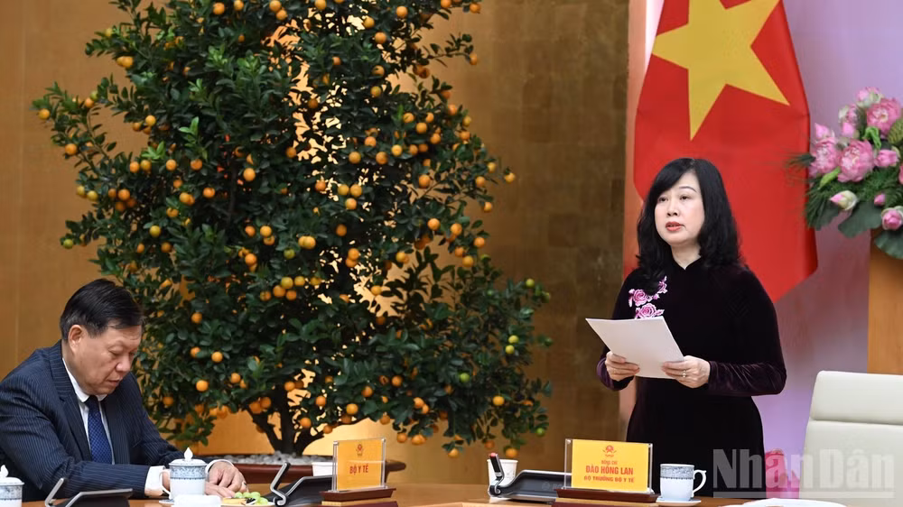 Bộ trưởng Y tế Đào Hồng Lan phát biểu ý kiến tại cuộc gặp mặt. (Ảnh: TRẦN HẢI)