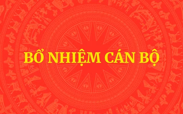 Bổ nhiệm Trợ lý Thủ tướng, Phó Thủ tướng Thường trực Chính phủ