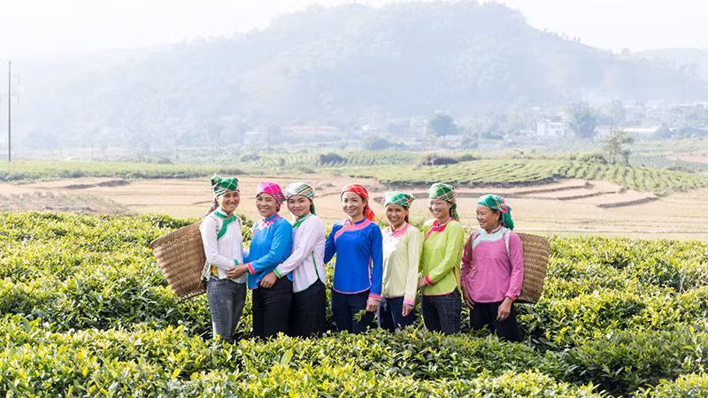 Những người phụ nữ mạnh dạn làm chủ tương lai của mình.