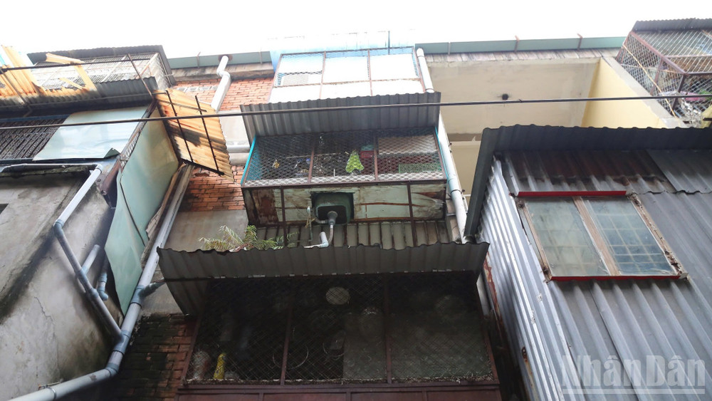 Khoảng cách giữa hai dãy nhà của chung cư bị thu hẹp bởi các "chuồng cọp" được cơi nới trồi ra. ndo_br_1.jpg