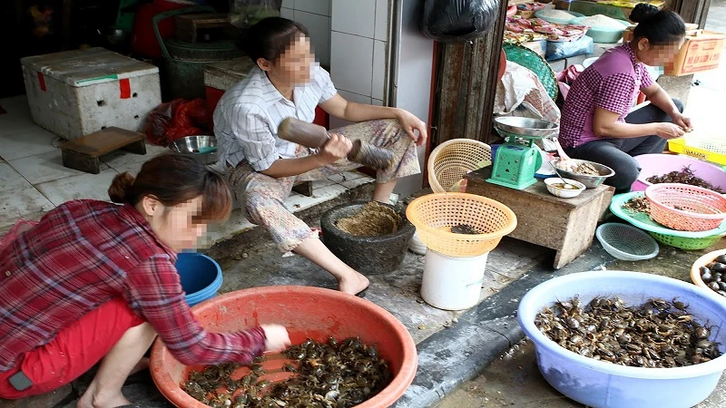 [Video] Tăng cường kiểm tra, xử phạt kinh doanh thực phẩm, nội tạng không rõ nguồn gốc