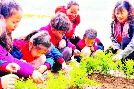 Các em học sinh phường Hai Bà Trưng được hướng dẫn chăm sóc cây xanh trên địa bàn.