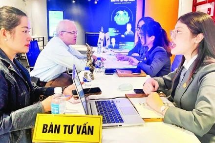 Tư vấn cho kiều bào và thân nhân của kiều bào tìm hiểu các vấn đề về pháp lý, đầu tư tại Thành phố Hồ Chí Minh.