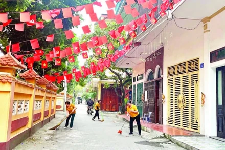 Giáo dân Ninh Bình góp sức xây dựng không gian sống xanh.