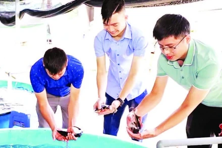 Mô hình ươm cá giống với hơn 10 vạn con giống của anh Trịnh Văn Hà, xã Nà Hang, tỉnh Tuyên Quang.