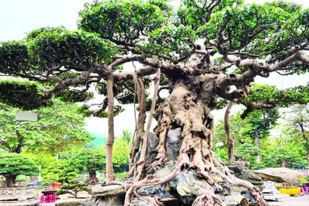 Giữ nghề truyền thống ở Vị Khê