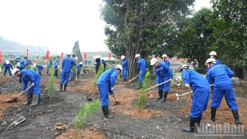 TKV Phát Động Tết Trồng Cây, Hướng Tới Mục Tiêu 'Đưa Nhà Máy Vào Công Viên'