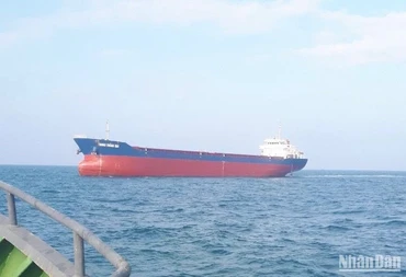 Tàu Trung Thắng 568 đâm va với tàu cá QNg-11126 TS.