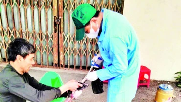 Tiêm vắc-xin phòng bệnh cho gia cầm tại huyện Ứng Hòa