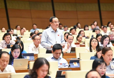 Đại biểu Quốc hội Nguyễn Ngọc Sơn (đoàn Hải Dương) tham gia ý kiến thảo luận ở hội trường chiều 31/10. (Ảnh: DUY LINH)
