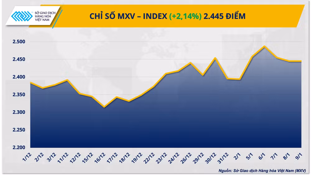 Chỉ số MXV-Index.
