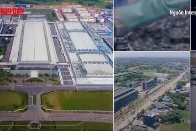 [Video] Hoàn thiện luật để thương mại điện tử phát triển bền vững