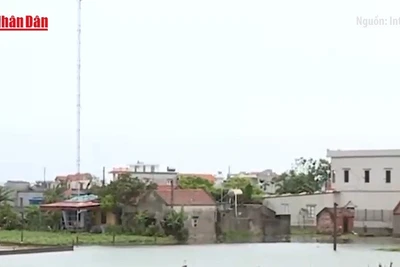 [Video] Thanh Hóa, Nghệ An tiếp tục mưa lớn, thiệt hại nặng do lũ lụt