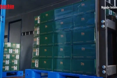 [Video] Thương mại điện tử xuyên biên giới – động lực mới cho xuất khẩu Việt Nam