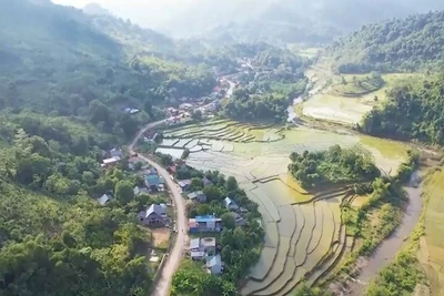 [Video] Phấn đấu 90% số xã đạt chuẩn nông thôn mới vào năm 2030