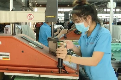 [Video] Quy định mới về cấp Giấy chứng nhận xuất xứ hàng hóa có hiệu lực từ 1/7