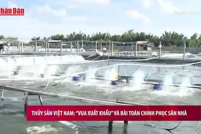 [Video] Thủy sản Việt Nam: “Vua xuất khẩu” và bài toán chinh phục sân nhà