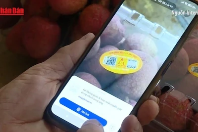 [Video] Công nghệ số - lá chắn chống hàng giả trên thương mại điện tử