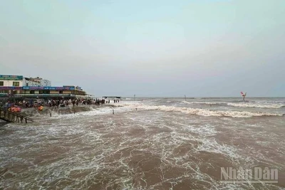 Triều cường kèm theo sóng lớn tại khu vực cồn Vành, xã Hưng Phú (tỉnh Hưng Yên).