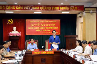 Đồng chí Hà Thị Nga, Ủy viên Trung ương Đảng, Bí thư Tỉnh ủy, Trưởng Đoàn đại biểu Quốc hội tỉnh Tuyên Quang phát biểu tại cuộc họp.