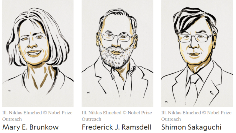Chân dung 3 nhà khoa học là chủ nhân của Giải Nobel Y sinh 2025. (Ảnh: Nobelprize.org)