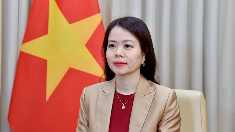 Thứ trưởng Ngoại giao Nguyễn Minh Hằng. (Ảnh: Bộ Ngoại giao)