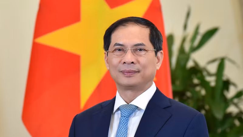 Đồng chí Bùi Thanh Sơn, Ủy viên Trung ương Đảng, Phó Thủ tướng Chính phủ, Bộ trưởng Ngoại giao.