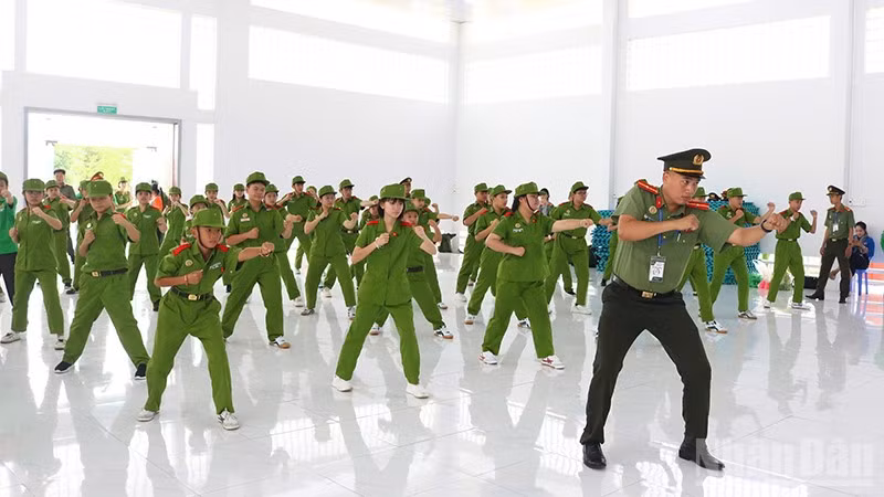 ndo_br_cs8.jpg