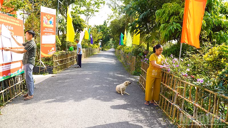 Vợ chồng ông Nguyễn Văn Xếp thường xuyên chăm sóc hoa kiểng và cho mượn nhà chuẩn bị cho Ngày hội toàn dân.