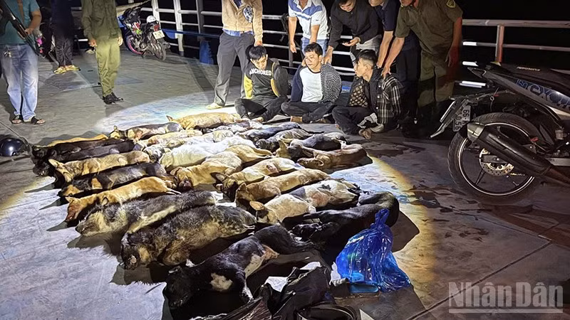 Tang vật được phát hiện trong đêm của các đối tượng trộm chó.