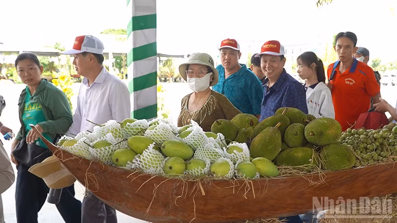 Du khách tham quan gian trưng bày tại Lễ hội Trái cây Đồng Tháp lần thứ 1.