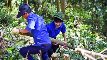 Đoàn viên, thanh niên tình nguyện chặt cây, phát quang hành lang tuyến Dự án đường dây 500kV Lào Cai-Vĩnh Yên.