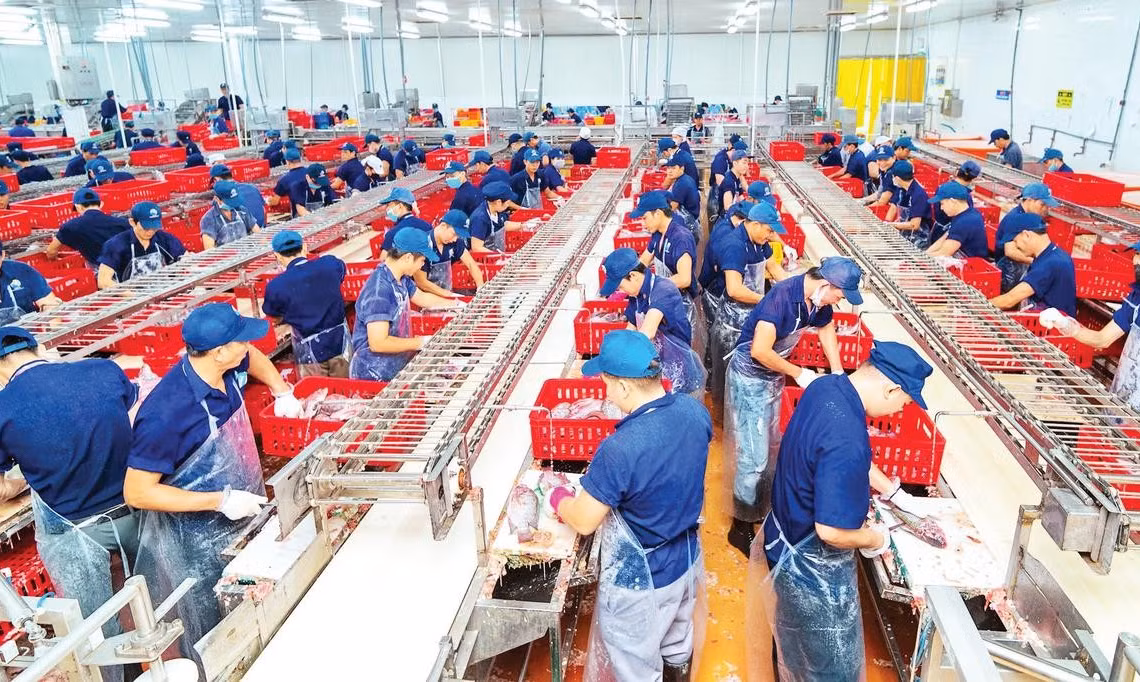 Nhà máy Thủy sản Nam Việt tại Cụm công nghiệp Mỹ Quý đang đẩy mạnh sản xuất cá tra xuất khẩu, tạo việc làm cho người lao động (Ảnh MINH HIỂN)
