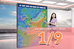 [Video] Dự báo thời tiết ngày 1/9/2026: Áp thấp nhiệt đới mạnh lên thành bão, Bắc Bộ nắng nóng, Trung Bộ mưa dông