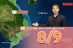 [Video] Dự báo thời tiết ngày 8/9/2026: Bắc Bộ tạnh ráo, Trung Bộ và Nam Bộ nhiều nơi mưa dông