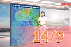 [Video] Dự báo thời tiết ngày 14/9/2026: Áp thấp nhiệt đới suy yếu, Trung Bộ tiếp tục mưa lớn
