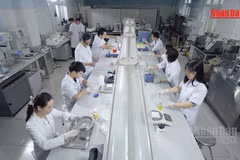 [Video] Đầu tư nghiên cứu cơ bản gắn với công nghệ chiến lược