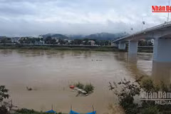 [Video] Khẩn trương triển khai phương án ứng phó lũ trên các tuyến sông