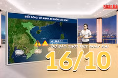 [Video] Dự báo thời tiết đêm nay và ngày mai 16/10/2026: Không khí lạnh tiếp tục suy yếu tại Bắc Bộ và Trung Bộ, Nam Bộ đề phòng mưa dông